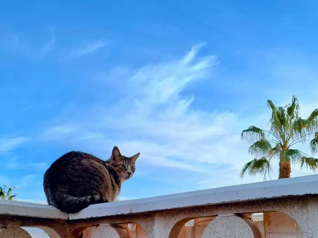 Pensión Habitacion Doble Con Bano Y Terraza Privada El Médano España