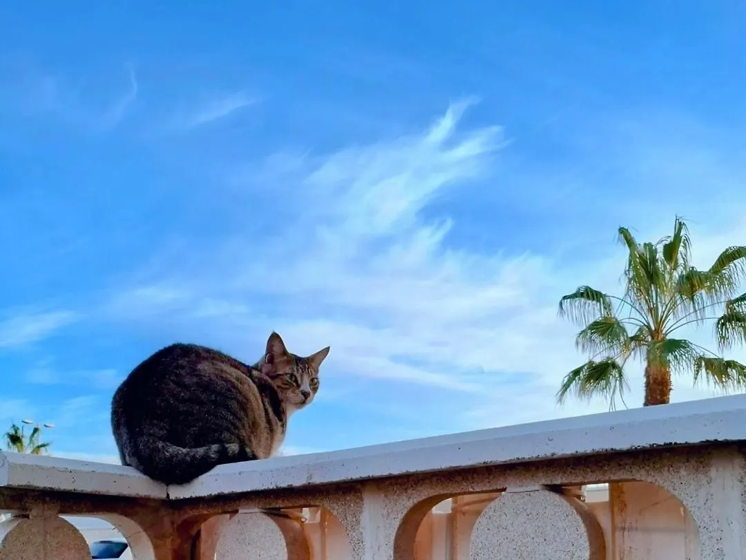 Habitacion Doble Con Bano Y Terraza Privada El Médano España